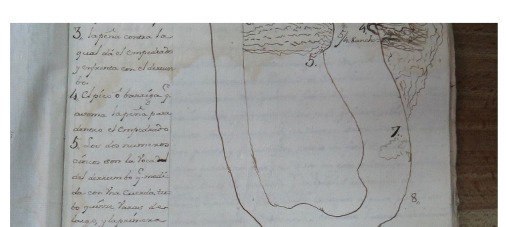 Colomial Roots “Exploring Colonial Roots/ Routes in North America and Latin America ...
